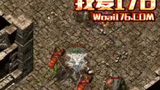 1.76ϻкǿְҵɫ