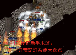 ͨ176ְҵ̵֢