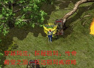 Խ귨ִ֮̽꣬