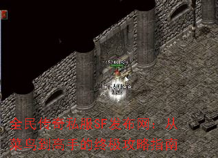 ȫ˽SFӲ񵽸ֵռָ