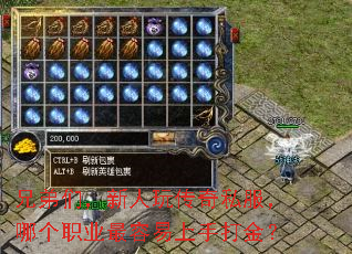 ֵǣ洫˽ĸְҵִ