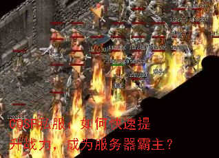 CQSF˽οսΪ