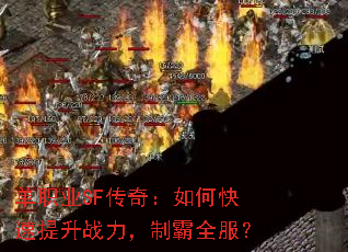 ְҵSF棺οսưȫ