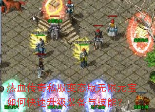 Ѫ˽̬Ԫοװ뼼ܣ