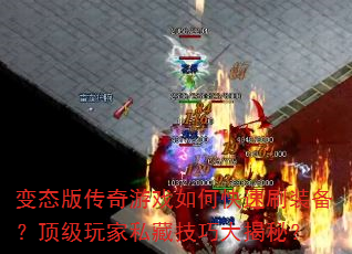 ̬洫Ϸοˢװ˽ؼɴأ