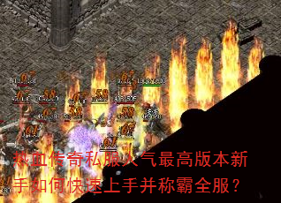 Ѫ˽߰汾οֲưȫ