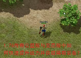 1.76湫̬οսȡϡװ