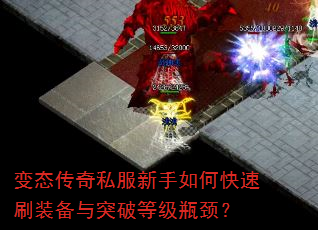 ̬˽οˢװͻƵȼƿ