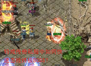 ؽ䴫˽οٻռBOSS