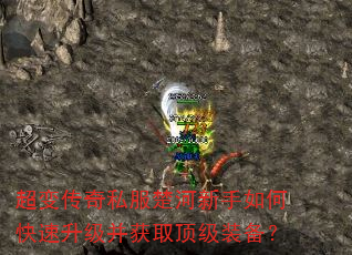 䴫˽οȡװ