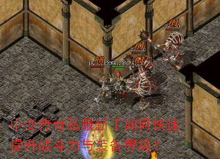 б䴫˽οսװȼ