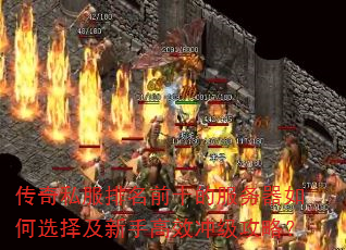 ˽ǰʮķѡָЧ弶ԣ