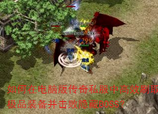 ڵ԰洫˽иЧˢȡƷװBOSS