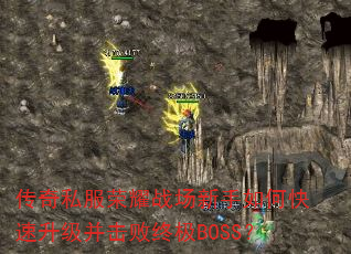 ˽ҫսοռBOSS