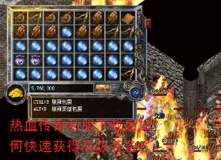 Ѫ˽غοٻø߼װ