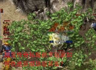 䴫˽οٻȡװ