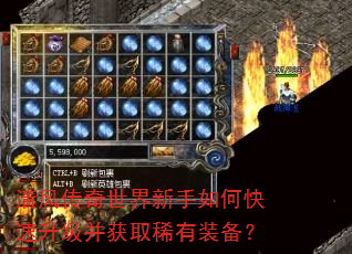 紫οȡϡװ
