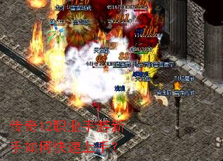 ����12ְҵ����������ο������֣�