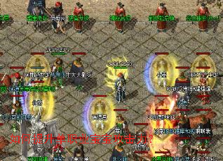 ���������ְҵ������������