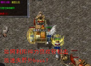 ������������������ɻ�����ʧҰ��boss��