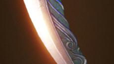 ���Ϊʲô��������ȥ��ţħ��