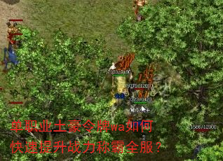 单职业土豪令牌wa如何快速提升战力称霸全服? 单职业土豪令牌wa如何快速提升战力称霸全服?