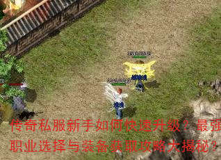 传奇私服新手如何快速升级?最强职业选择与装备获取攻略大揭秘? 传奇私服新手如何快速升级?最强职业选择与装备获取攻略大揭秘?
