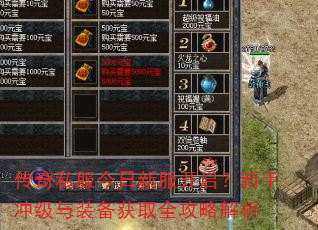 传奇私服今日新服开启?新手冲级与装备获取全攻略解析 传奇私服今日新服开启?新手冲级与装备获取全攻略解析