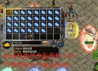 复古热血传奇私服新手如何选择职业与快速升级? 复古热血传奇私服新手如何选择职业与快速升级?