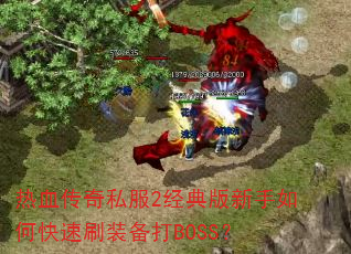 热血传奇私服2经典版新手如何快速刷装备打BOSS? 热血传奇私服2经典版新手如何快速刷装备打BOSS?