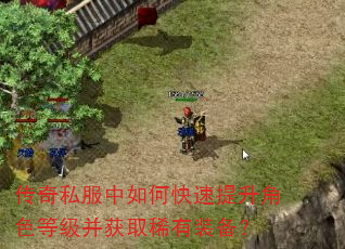 传奇私服中如何快速提升角色等级并获取稀有装备? 传奇私服中如何快速提升角色等级并获取稀有装备?