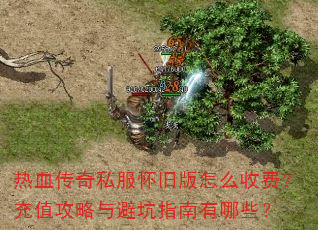 热血传奇私服怀旧版怎么收费?充值攻略与避坑指南有哪些? 热血传奇私服怀旧版怎么收费?充值攻略与避坑指南有哪些?