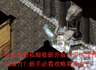 兽血传奇私服最新开服如何快速升级战力?新手必看攻略有哪些? 兽血传奇私服最新开服如何快速升级战力?新手必看攻略有哪些?