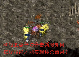 80̬ϻ·δ似ܲʵɱЧ