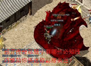 新开传奇私服中有哪些必知技巧能助你快速称霸服务器? 新开传奇私服中有哪些必知技巧能助你快速称霸服务器?