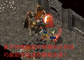 新开传奇私服中有哪些必知技巧能助你快速称霸服务器? 新开传奇私服中有哪些必知技巧能助你快速称霸服务器?