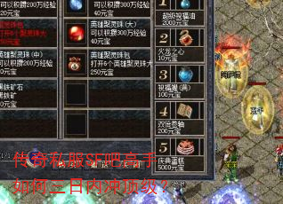 传奇私服SF吧高手如何三日内冲顶级? 传奇私服SF吧高手如何三日内冲顶级?