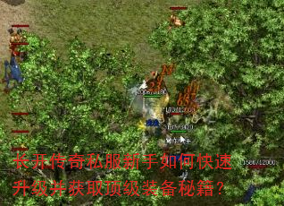 长开传奇私服新手如何快速升级并获取顶级装备秘籍? 长开传奇私服新手如何快速升级并获取顶级装备秘籍?
