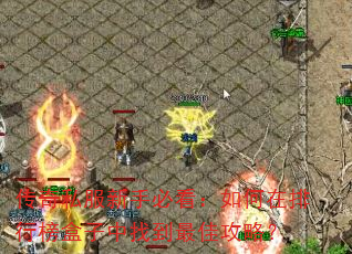 传奇私服新手必看:如何在排行榜盒子中找到最佳攻略? 传奇私服新手必看:如何在排行榜盒子中找到最佳攻略?