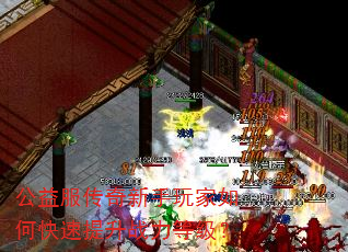 公益服传奇新手玩家如何快速提升战力等级? 公益服传奇新手玩家如何快速提升战力等级?