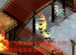 ���Ŵ���˽�����԰�������ο�����������ȡϡ��װ����