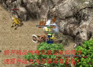 �¿���Ʒ����˽�������ο�������ս�����ȡϡ��װ����