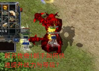 �¿�����1������ο�������ս����ȼ���