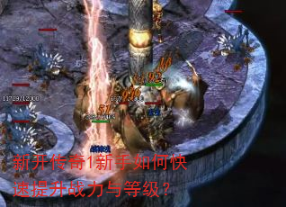 �¿�����1������ο�������ս����ȼ���