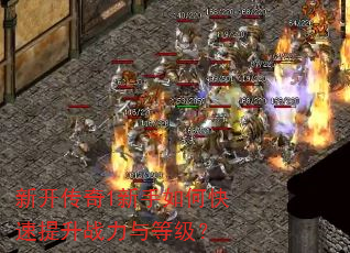 �¿�����1������ο�������ս����ȼ���