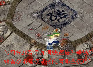 传奇私服新手如何快速提升等级?装备获取与技能搭配有哪些技巧? 传奇私服新手如何快速提升等级?装备获取与技能搭配有哪些技巧?