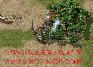 传奇私服现在还有人玩吗?高玩亲测现状与升级技巧全解析 传奇私服现在还有人玩吗?高玩亲测现状与升级技巧全解析