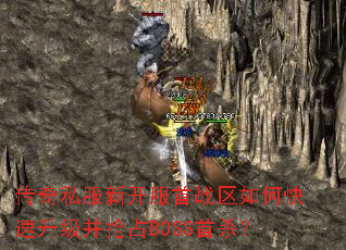 传奇私服新开服首战区如何快速升级并抢占BOSS首杀? 传奇私服新开服首战区如何快速升级并抢占BOSS首杀?