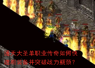 ͨʥְҵοˢװͻսƿ