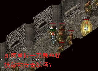 如何掌握一刀毙命秘技称霸传奇战场? 如何掌握一刀毙命秘技称霸传奇战场?